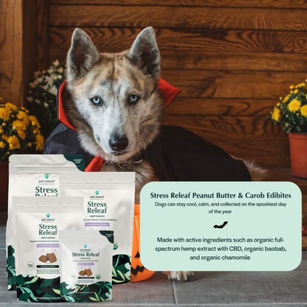 Best Quality Dog Products Made in USA